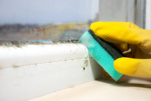 Clay, AL Mold Remediation Company